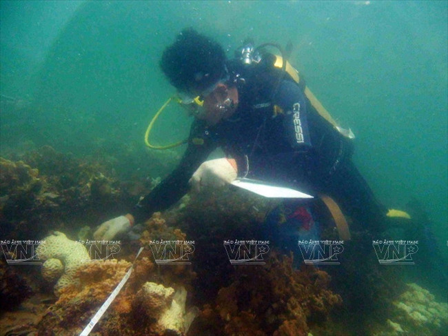 Khám phá quần đảo Cát Bà - Chuỗi “ngọc xanh” giữa biển khơi ảnh 22