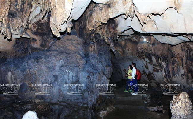 Khám phá quần đảo Cát Bà - Chuỗi “ngọc xanh” giữa biển khơi ảnh 14