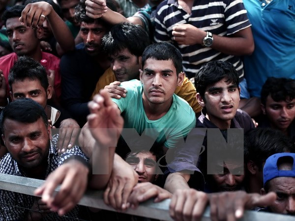 Lại có thêm khoảng 40 người di cư bỏ mạng ở Địa Trung Hải ảnh 1