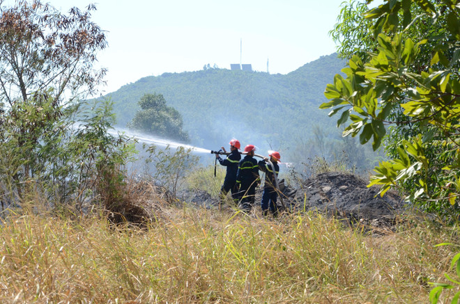 Đà Nẵng: Kịp thời dập tắt vụ cháy rừng trên núi Sơn Trà ảnh 1