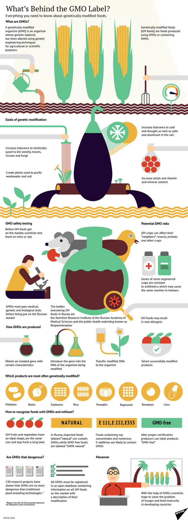Chính phủ Nga ngừng sản xuất các loại thực phẩm biến đổi gen ảnh 2