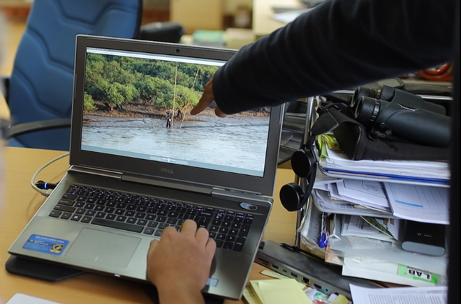 Giải cứu chim trời Cát Bà - Bảo vệ Khu dự trữ sinh quyển thế giới ảnh 5