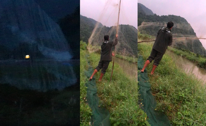 Giải cứu chim trời Cát Bà - Bảo vệ Khu dự trữ sinh quyển thế giới ảnh 2