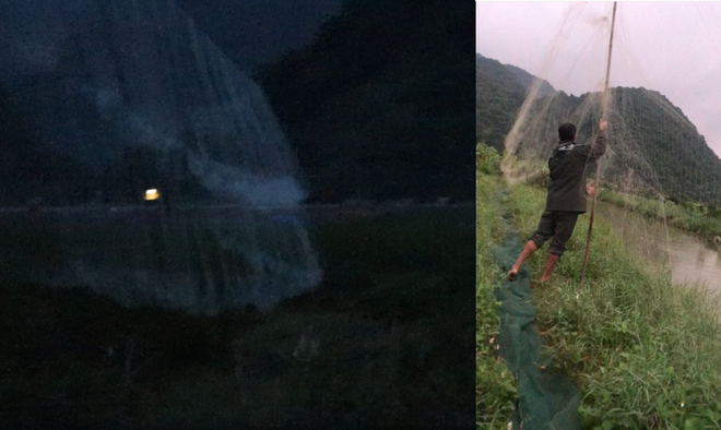 Giải cứu chim trời Cát Bà - Bảo vệ Khu dự trữ sinh quyển thế giới ảnh 2