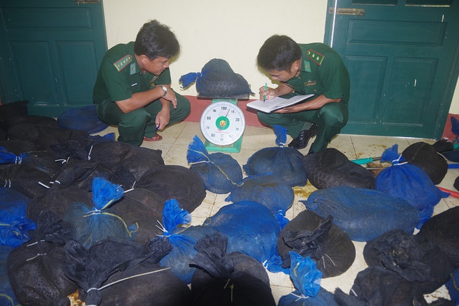 Thông tin mới về vụ vận chuyển trái phép 114 cá thể tê tê tại Cà Mau ảnh 1