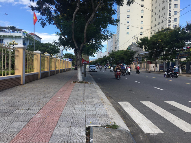 Đà Nẵng huy động sức mạnh cộng đồng để bảo vệ môi trường ảnh 1