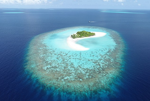 Nghiên cứu mới tuyên bố rằng các đảo san hô, chẳng hạn như Maldives (ảnh), có thể tự thích nghi để sống sót khi mực nước dâng cao. (Nguồn: dailymail.co.uk) Các đảo san hô nhỏ có khả năng tự thích ứng với nước biển dâng ảnh 1