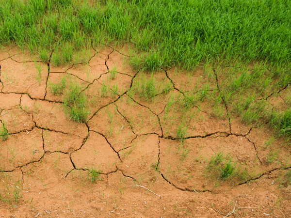 Việt Nam dự hội nghị môi trường khu vực châu Á-Thái Bình Dương ảnh 1