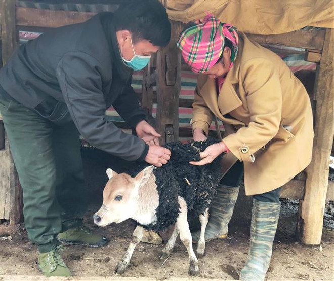 Tháng 1/2022, các đợt không khí lạnh gia tăng, Nam Bộ có mưa trái mùa ảnh 1