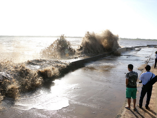 Kè đê biển Gành Hào và Nhà Mát ở Bạc Liêu tiếp tục bị sạt lở ảnh 1