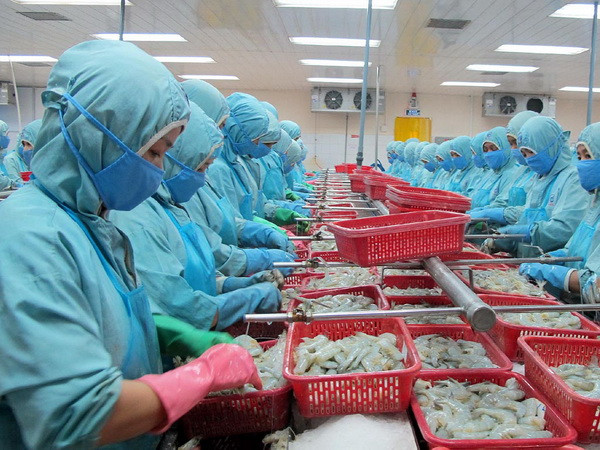 WTO đưa phán quyết với 7 nội dung có lợi cho tôm Việt Nam ảnh 1