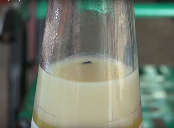 Phát hiện vật thể giống ruồi trong chai sữa đậu nành Number One ảnh 1