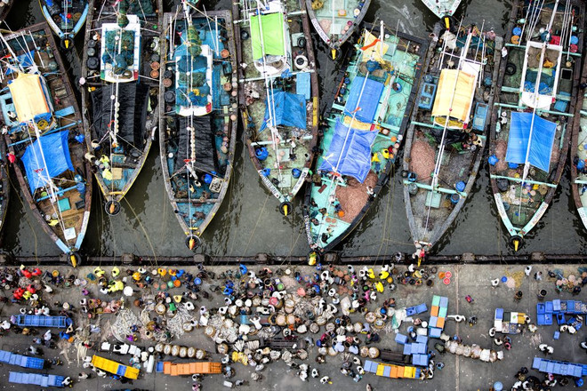 Ảnh đẹp trong tuần: Mê hoặc với vẻ đẹp hoa anh đào ở Nhật Bản ảnh 2