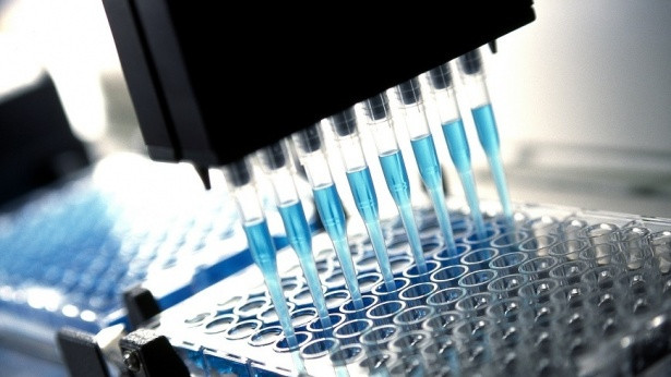 Israel thử nghiệm thành công thuốc điều trị nhiễm trùng huyết cấp ảnh 1