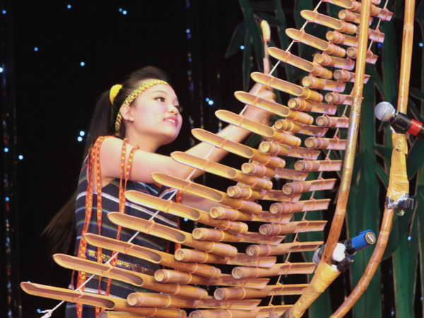 Bảo tồn nghệ thuật truyền thống trong thanh thiếu nhi ảnh 1