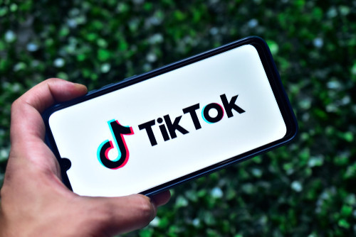 Pakistan chặn ứng dụng TikTok vì 'nội dung không phù hợp' ảnh 1