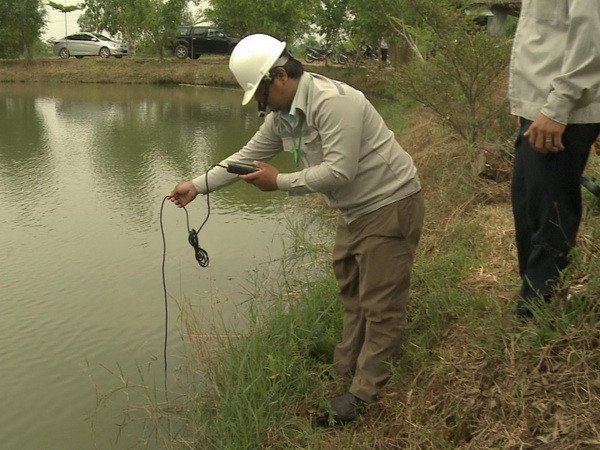 Điều tra nguyên nhân khiến cá chết hàng loạt tại Quảng Ngãi ảnh 2