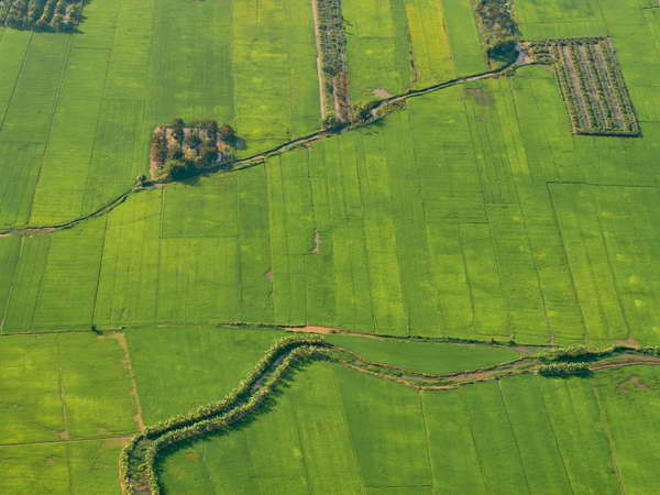 Thu hút doanh nghiệp Nhật đầu tư vào khu vực ĐBSCL ảnh 1