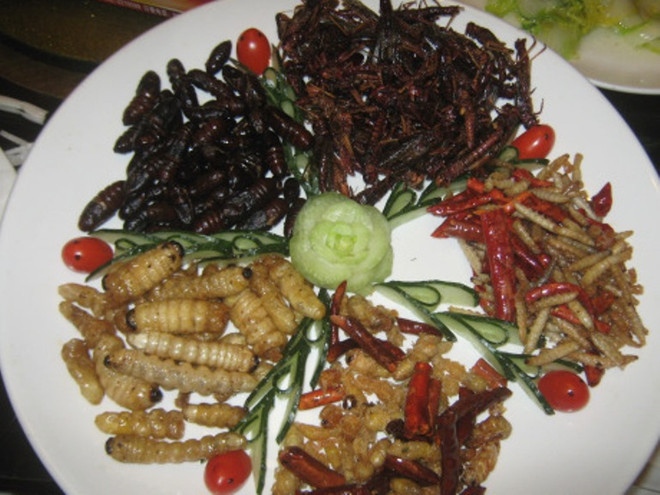 Châu Âu sắp nhập thực phẩm côn trùng châu Á, người dân Italy e ngại ảnh 1