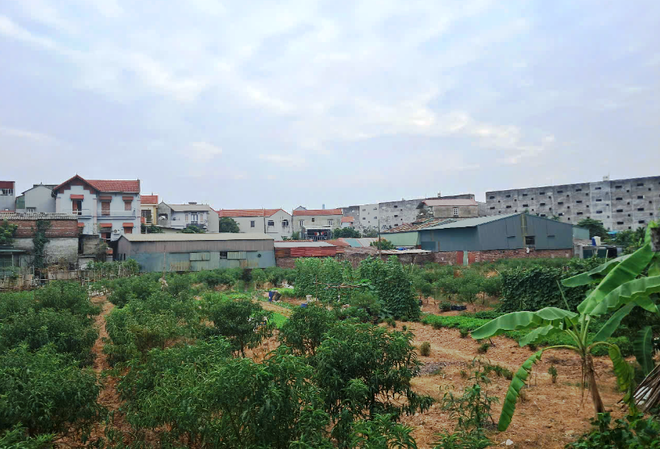 vnp_bat dong san.PNG