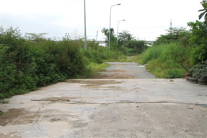 Bình Định: Làm rõ sai phạm trong quản lý đất đai ở xã Mỹ An ảnh 1