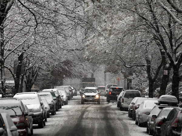 Vùng Đông Bắc Mỹ tiếp tục hứng đợt bão tuyết mới ảnh 1