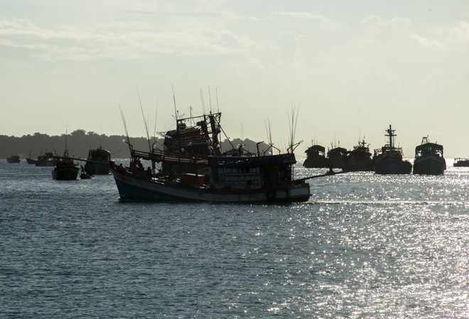 ttxvn_tau ca phu quoc.jpg