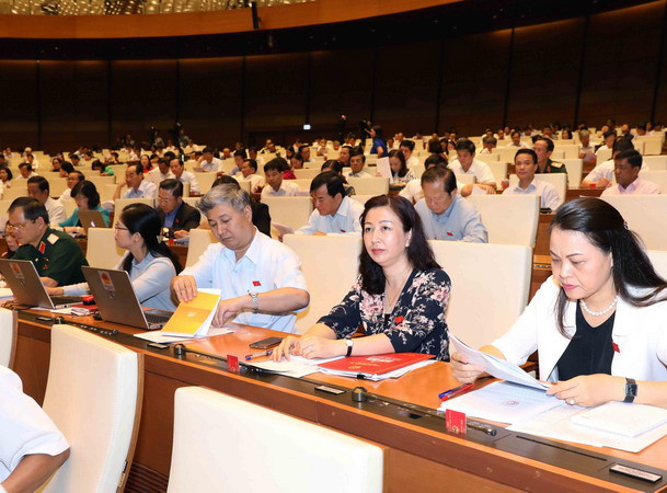 Đại biểu Quốc hội: Cần phải có hình thức bảo vệ người tố cáo ảnh 1