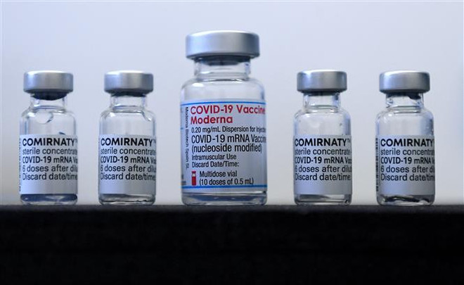 Mỹ duyệt tiêm vaccine mRNA ngừa COVID-19 cho trẻ 6 tháng đến 5 tuổi ảnh 1