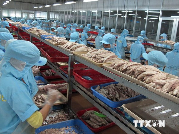 Tiền Giang hướng mục tiêu 1,3 tỷ USD xuất khẩu năm 2015 ảnh 1