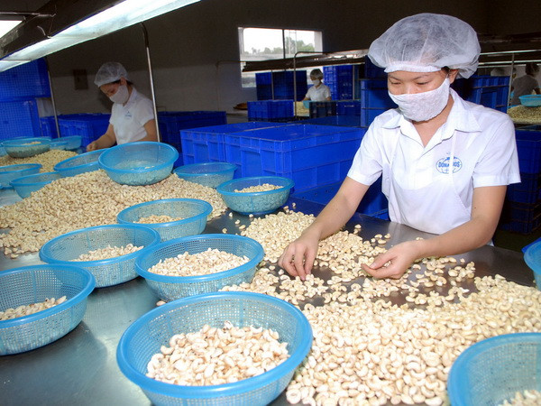 Thúc đẩy quan hệ thương mại Việt Nam-Kazakhstan ảnh 1