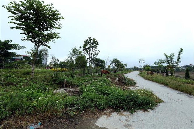 Cần Thơ trả 'nợ' dự án công viên hạ tầng xanh cho người dân ảnh 1