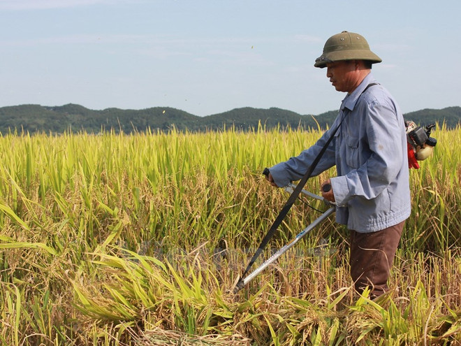 Đại biểu Quốc hội: Cần những giải pháp để đạt mục tiêu kinh tế-xã hội ảnh 2