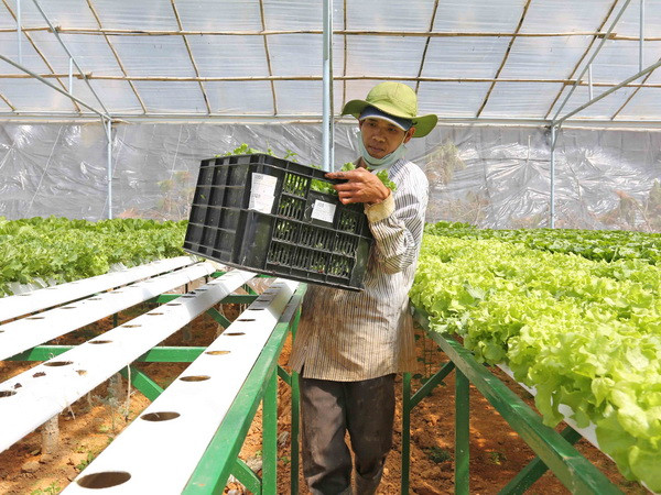 Vingroup sẽ xây Trung tâm nông nghiệp ứng dụng cao tại Quảng Ninh ảnh 1