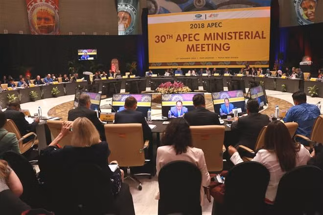 Phó Thủ tướng dự Hội nghị liên Bộ trưởng Ngoại giao-Kinh tế APEC ảnh 2