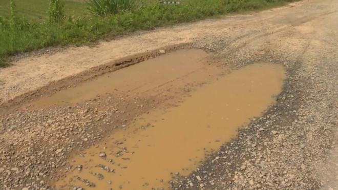 Thấp thỏm nỗi lo từ những tuyến đê xuống cấp ở Thanh Hóa ảnh 3