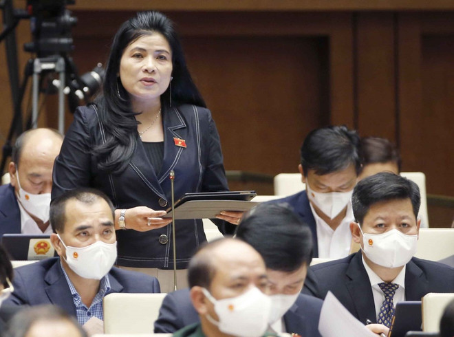 Sức chống chịu, tiềm lực nền kinh tế đang bị suy kiệt vì dịch COVID-19 ảnh 1