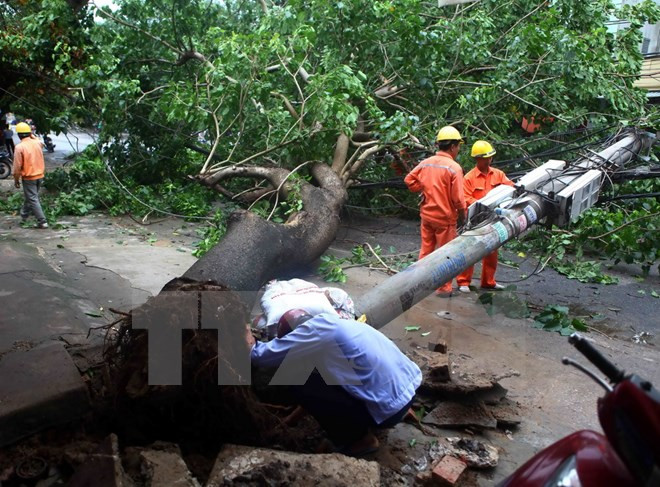 Tháng 8 có 1-2 cơn bão và áp thấp ảnh hưởng đến đất liền  ảnh 1