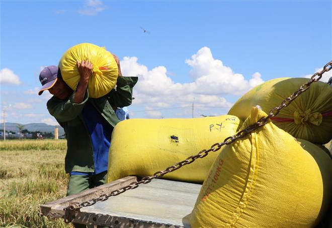 Chủ tịch nước gửi thông điệp tại Hội nghị các hệ thống lương thực ảnh 1