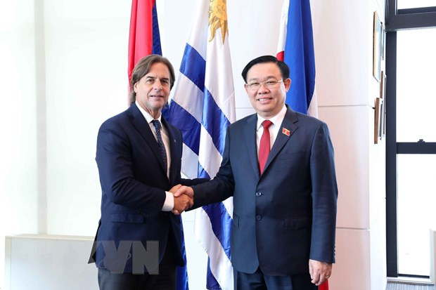 Chủ tịch Quốc hội Vương Đình Huệ hội kiến Tổng thống Đông Uruguay Luis Lacalle Pou. (Ảnh: Doãn Tấn/TTXVN) Mở ra trang mới trong quan hệ song phương Việt Nam-Uruguay ảnh 1