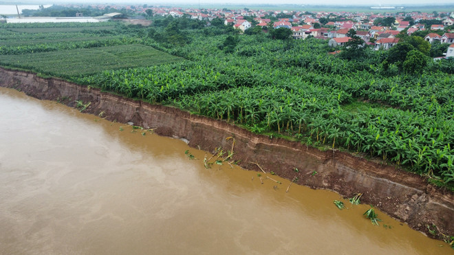 Phú Thọ: Sạt lở nghiêm trọng bờ Sông Thao, đe dọa hơn 1.000 hộ dân ảnh 2
