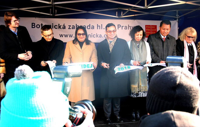 "Ngoại giao phong lan" Việt-Séc: Trưng bày nhiều loài lan quý ảnh 2