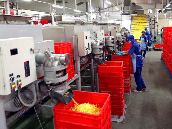 Thanh tra Vinafood 2, phát hiện rất nhiều sai phạm nghiêm trọng ảnh 1