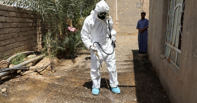 Iraq: Số ca mắc sốt xuất huyết Crimean-Congo tăng mạnh ảnh 1