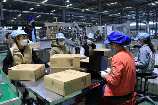 Chỉ thị của Thủ tướng về việc tăng cường công tác thống kê Nhà nước ảnh 2