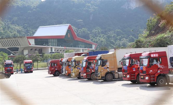 Tất cả phương tiện chở hàng hóa xuất nhập khẩu tại Cửa khẩu quốc tế Hữu Nghị được khai báo trực tuyến. (Ảnh: Quang Duy/TTXVN) Lạng Sơn thiết lập "vùng xanh" an toàn cho xuất nhập khẩu hàng hóa ảnh 1
