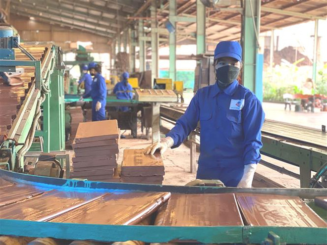 Thống nhất hồ sơ trình phê duyệt đầu tư bổ sung vốn điều lệ của DN ảnh 1