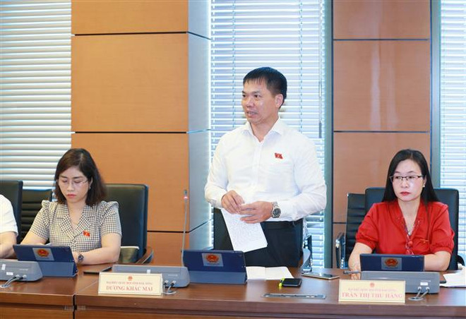 Nội luật hóa Luật Sở hữu trí tuệ không trái với các cam kết quốc tế ảnh 3