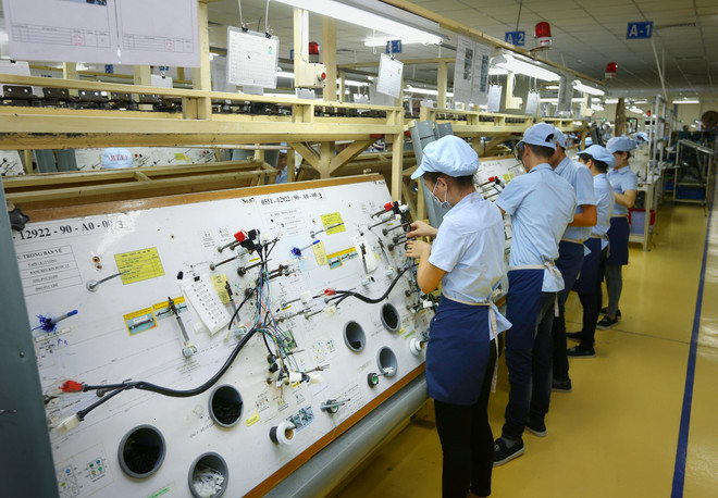 Mốc son trong quan hệ hữu nghị và hợp tác toàn diện Việt Nam-Argentina ảnh 5