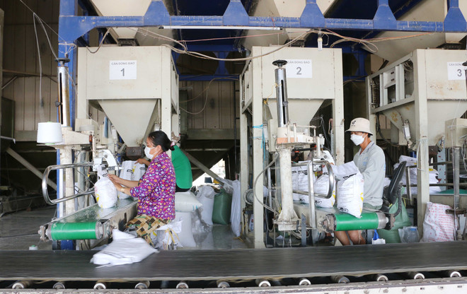 An Giang: Kỳ vọng vào xuất khẩu trong những tháng cuối năm ảnh 3